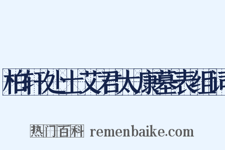 柏轩处士艾君太康墓表组词是什么意思的图片